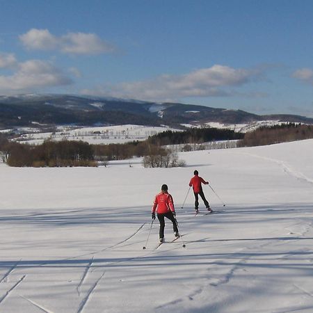 Wellness Pension Iveta Žacléř Buitenkant foto