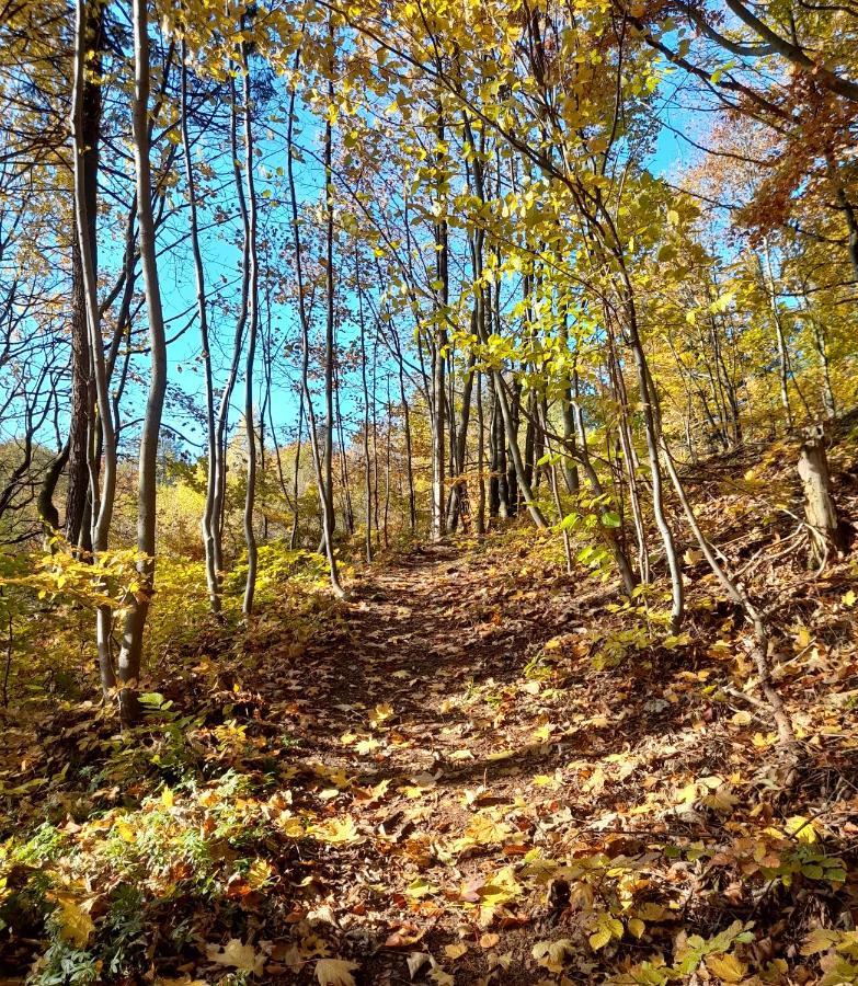 Wellness Pension Iveta Žacléř Buitenkant foto