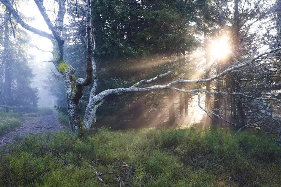 Wellness Pension Iveta Žacléř Buitenkant foto