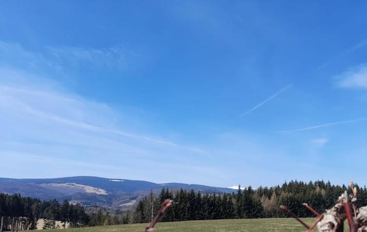 Wellness Pension Iveta Žacléř Buitenkant foto