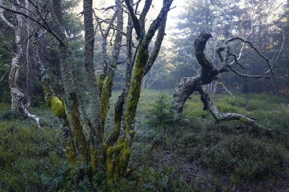 Wellness Pension Iveta Žacléř Buitenkant foto