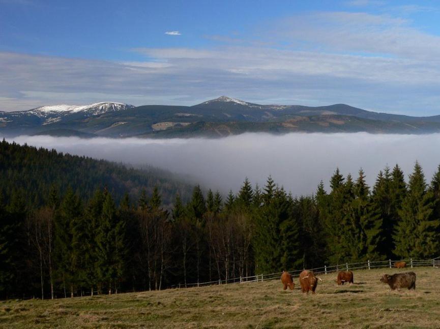 Wellness Pension Iveta Žacléř Buitenkant foto