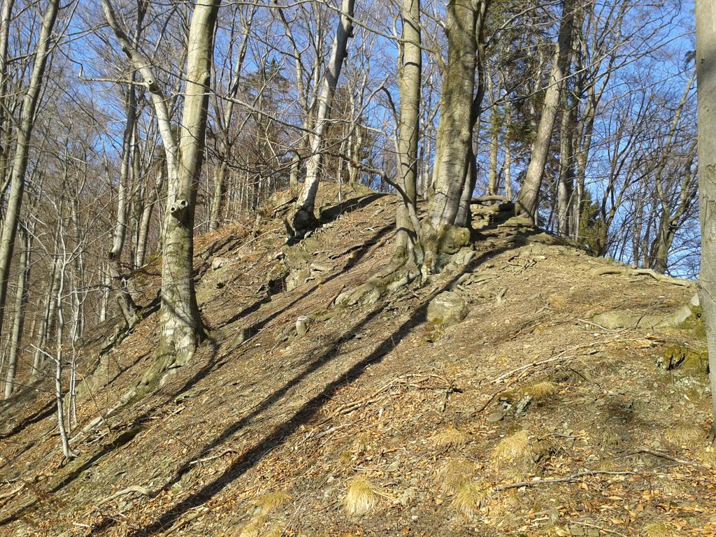 Wellness Pension Iveta Žacléř Buitenkant foto