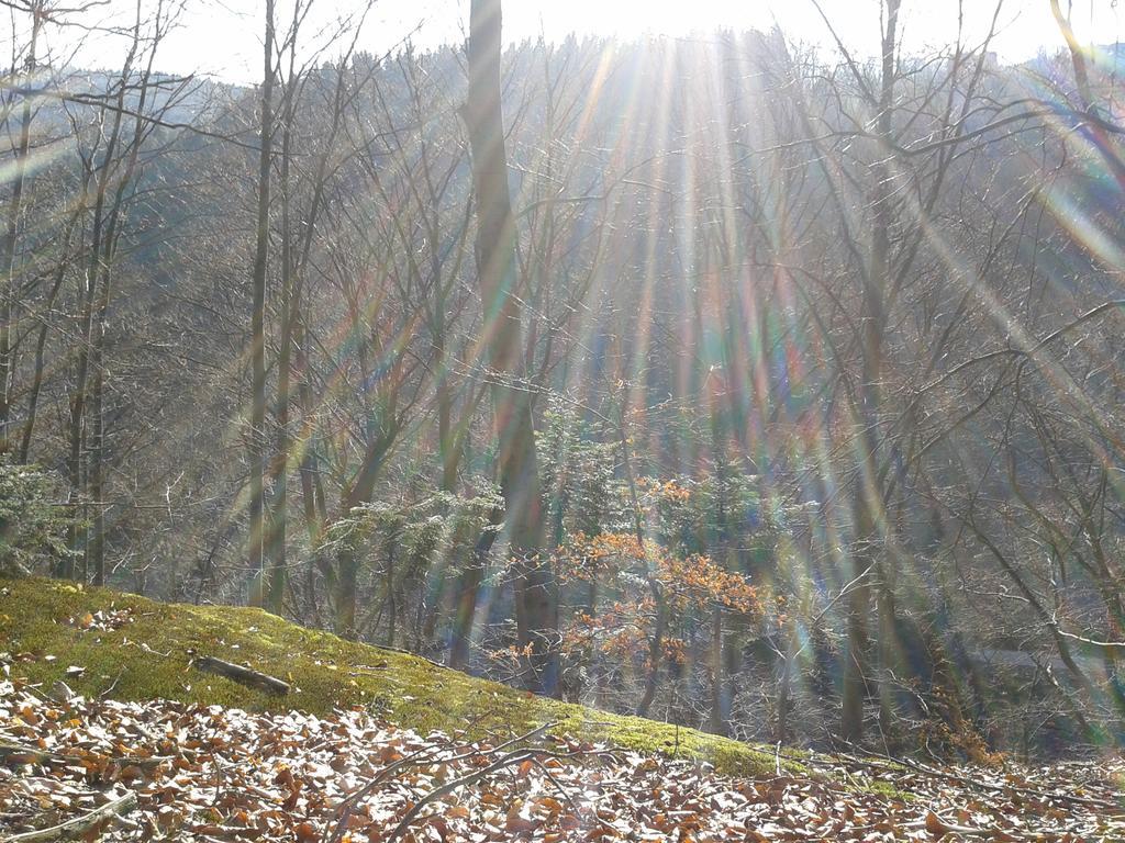Wellness Pension Iveta Žacléř Buitenkant foto