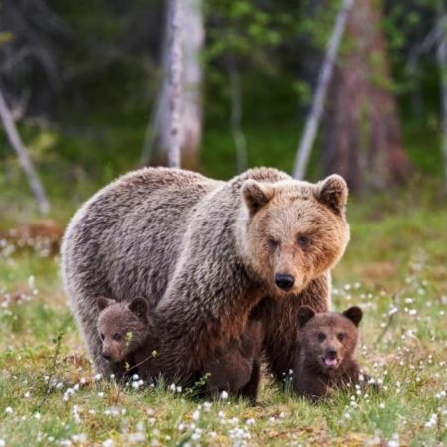 Wellness Pension Iveta Žacléř Buitenkant foto