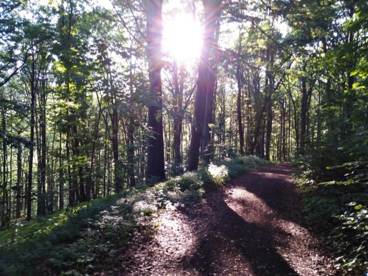 Wellness Pension Iveta Žacléř Buitenkant foto